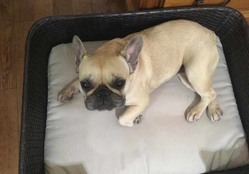 Holiday Inn Express Hotel & Suites Clarington   Bowmanville, An Ihg