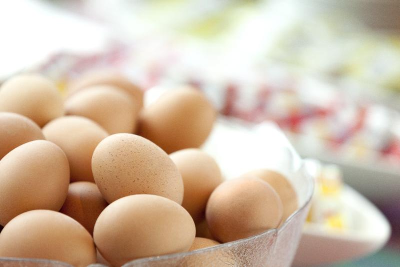 호텔 Holiday Inn Express Zürich Airport, An Ihg