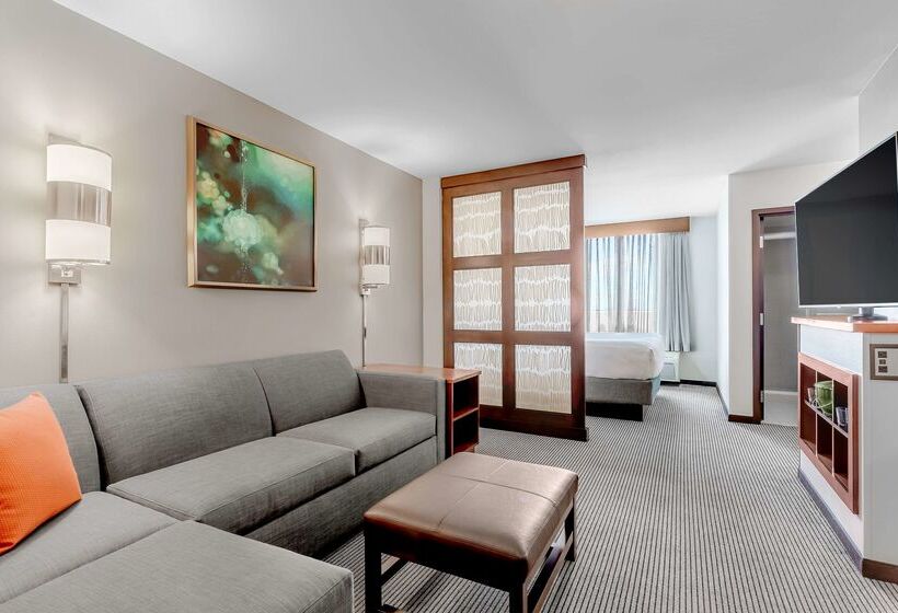 酒店 Hyatt Place Salt Lake City Airport