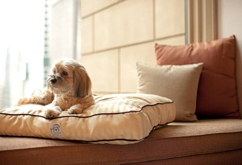 酒店 Hyatt Place Salt Lake City Airport