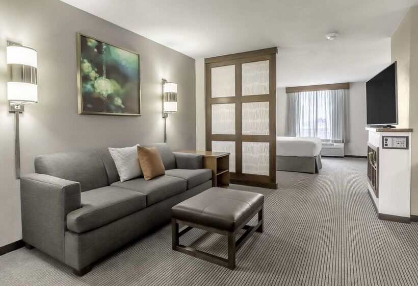 酒店 Hyatt Place Salt Lake City Airport