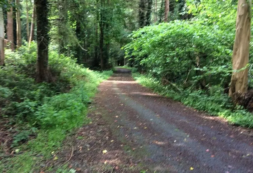 Hotelli Priest Bridge Cottage