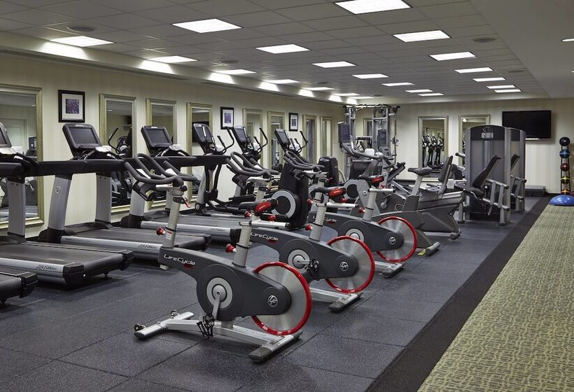 Otel Renaissance Providence Downtown