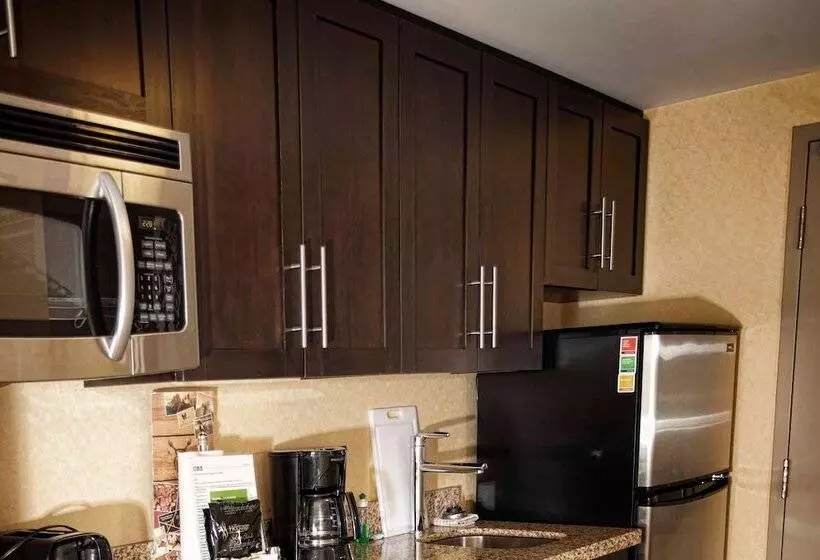 Отель Towneplace Suites By Marriott Sudbury