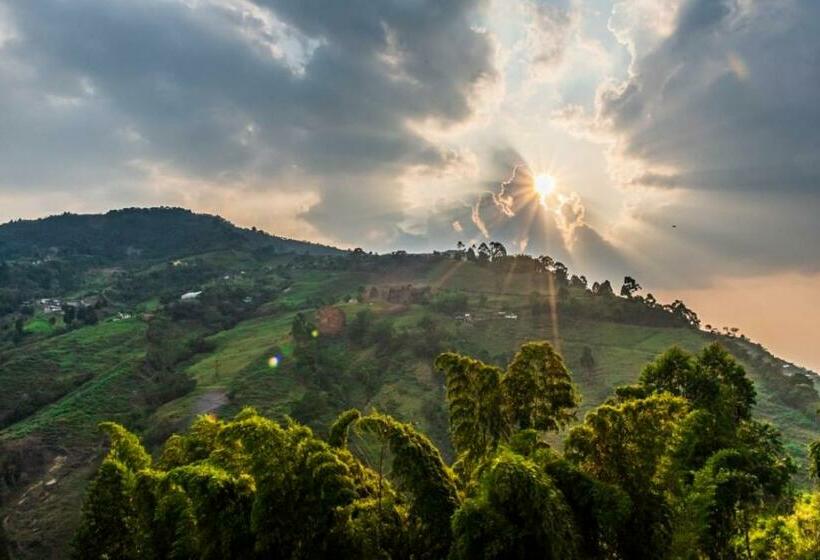 旅馆 Finca Hotel El Mirador