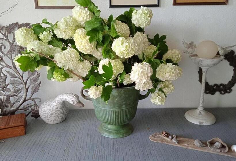 צימר Chambre Dans Prieuré De Caractère Xviii Siècle