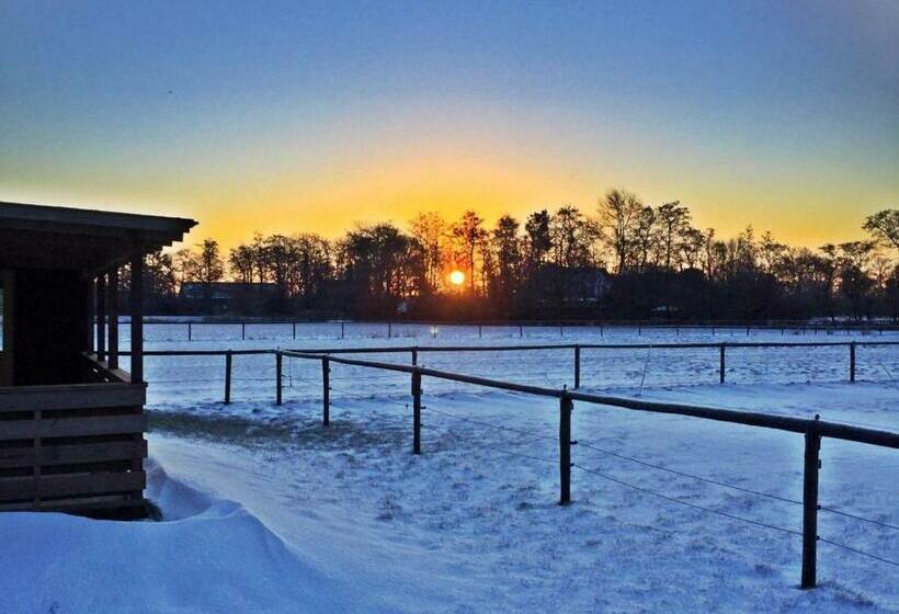 Bed and Breakfast Unieke Vriendenkamer Met Bedstedes Tot 11 Personen En 2 Rustig Gelegen Chalets 2 En 4 Persoons Te Hu
