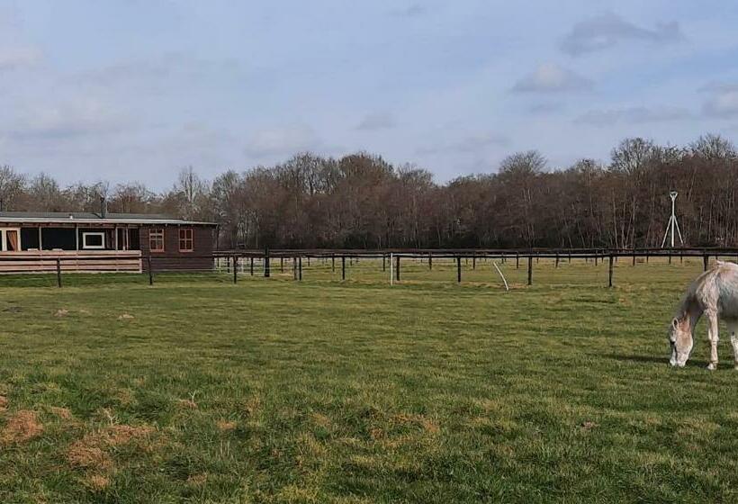 Bed and Breakfast Unieke Vriendenkamer Met Bedstedes Tot 11 Personen En 2 Rustig Gelegen Chalets 2 En 4 Persoons Te Hu