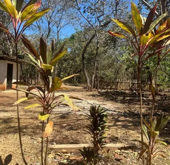 Hotelli Finca Avellanas