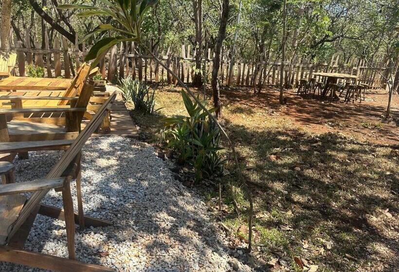 בית מלון כפרי Finca Avellanas