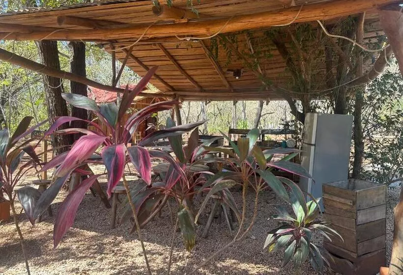 Hotelli Finca Avellanas