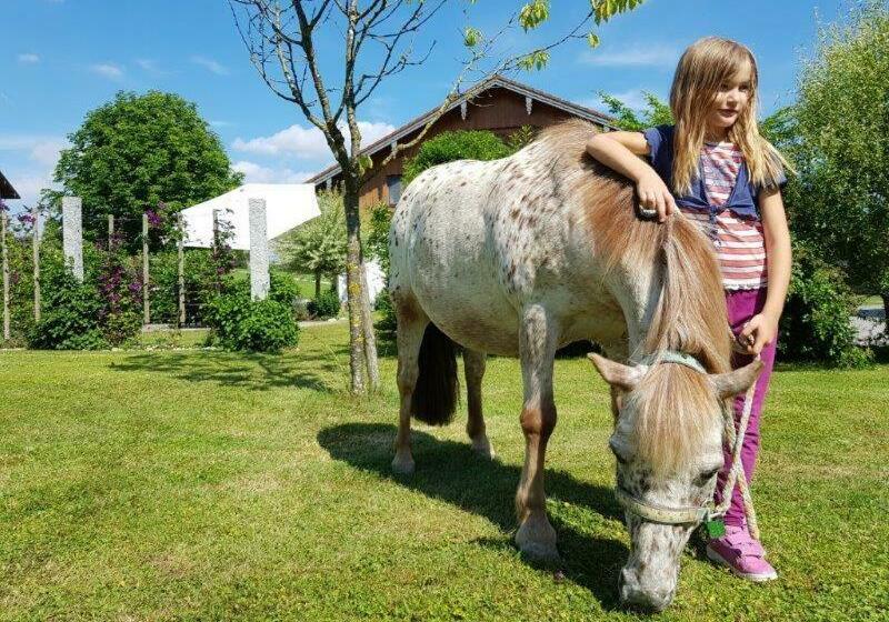 Hotel Mühlberger Hof