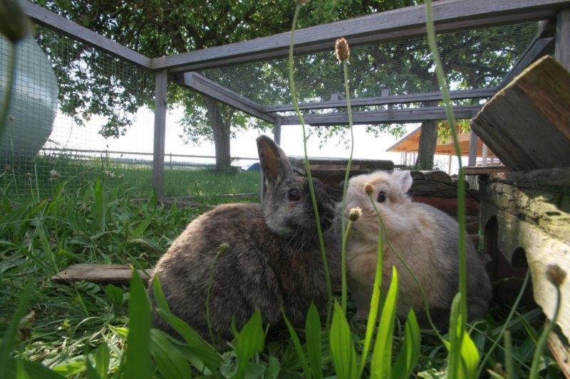 Hotel Mühlberger Hof