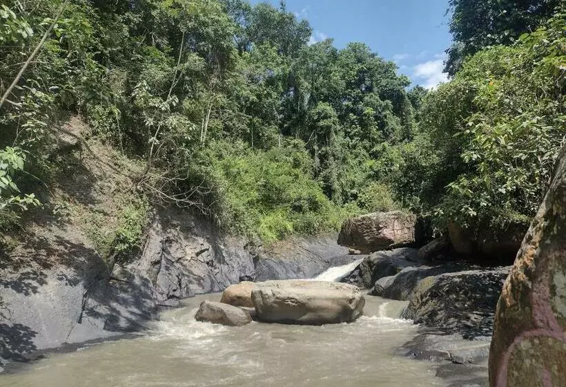 ホテル Cabaña Nido El Gorrión