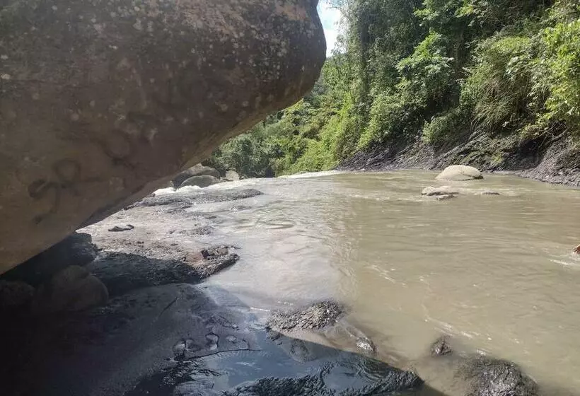 ホテル Cabaña Nido El Gorrión