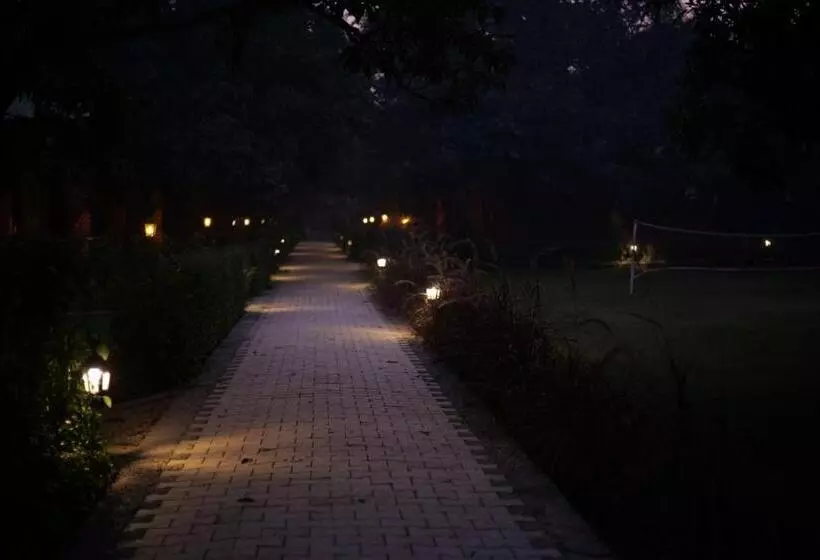 Mango Tree Resorts