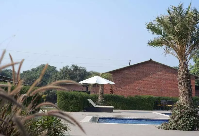 Mango Tree Resorts