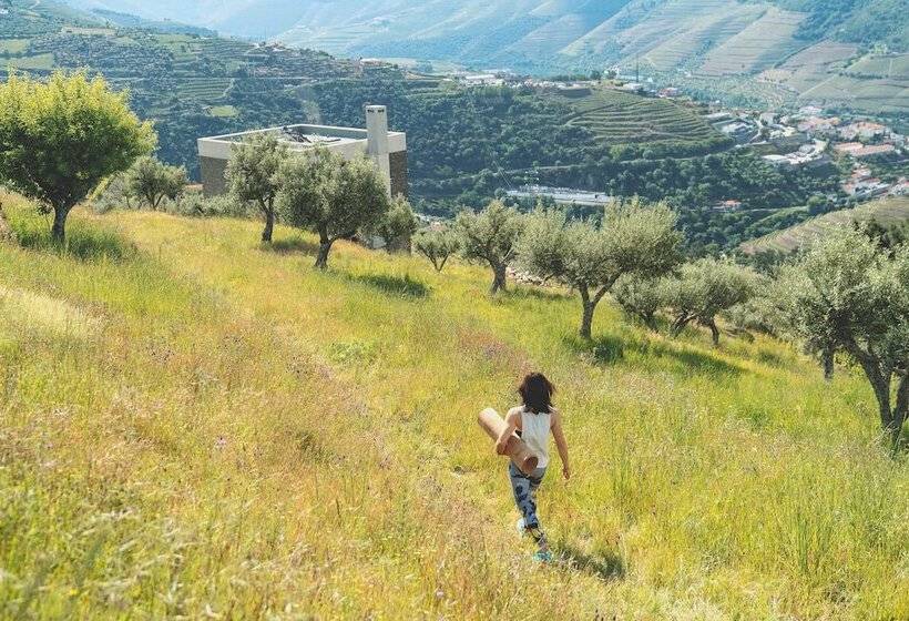 مبيت وإفطار Casa Do Arco By Douro Exclusive