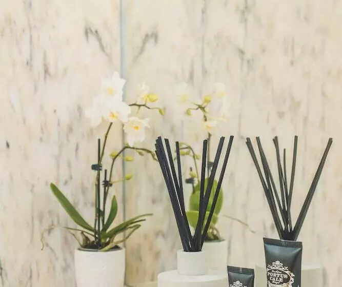 Aamiaismajoitus (B&B) Casa Do Arco By Douro Exclusive