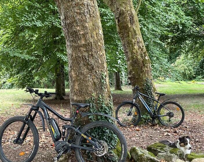 Bed and Breakfast Domaine De Fresnoy