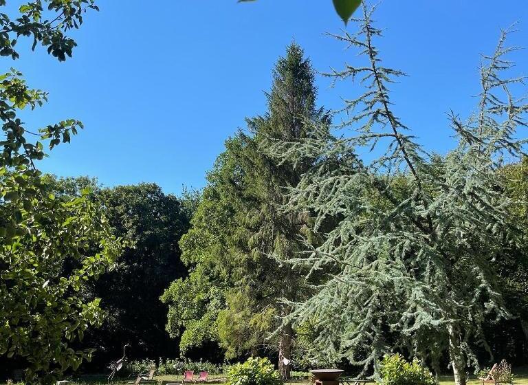 Bed and Breakfast Domaine De Fresnoy