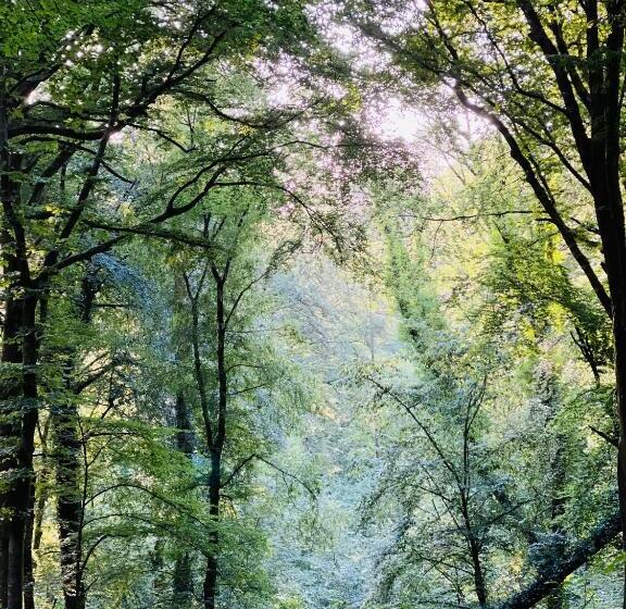 Bed and Breakfast Domaine De Fresnoy