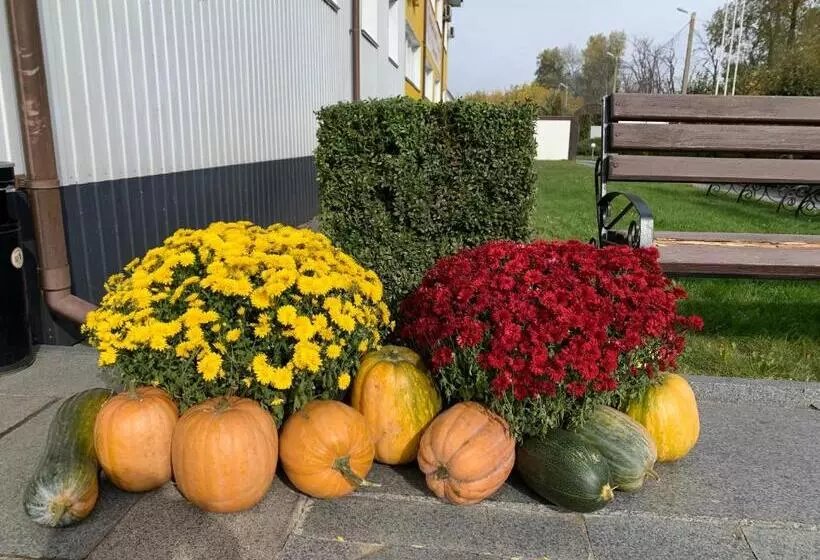 ホテル готель у свата гришківці бердичівський р н