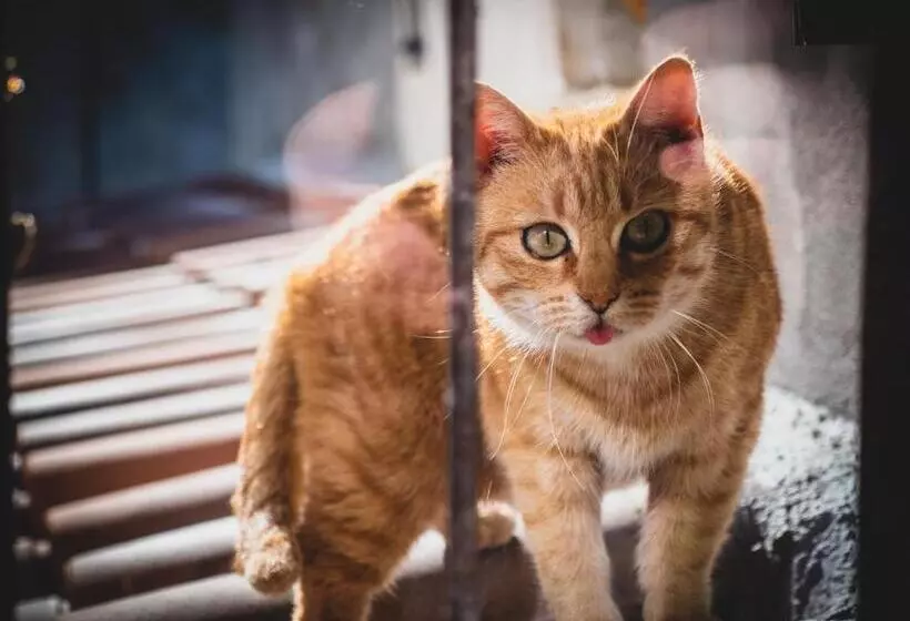 Hotelli Girastrittue Colobraro