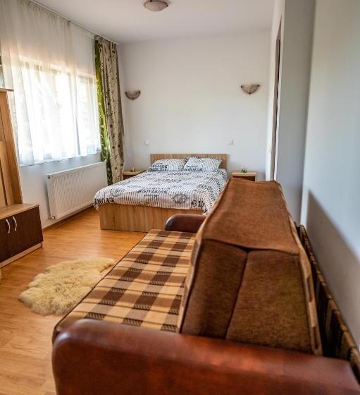 هتل Pensiunea Visaventura