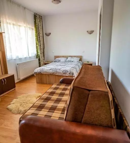 Hotelli Pensiunea Visaventura