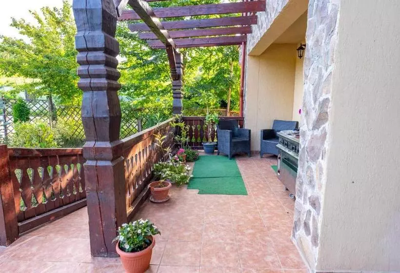 Hotelli Pensiunea Visaventura