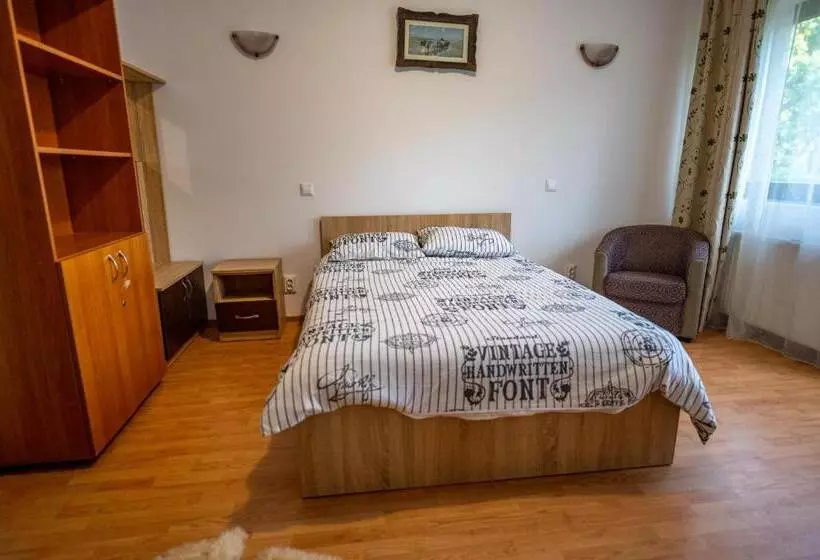 Hotelli Pensiunea Visaventura