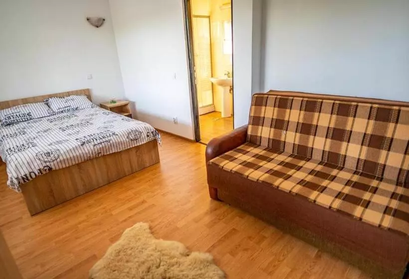 Hotelli Pensiunea Visaventura