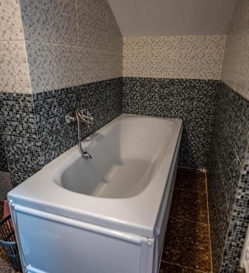 هتل Pensiunea Visaventura