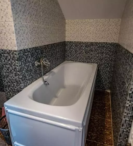 Hotelli Pensiunea Visaventura