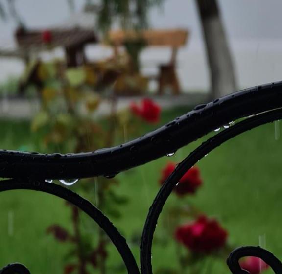 Pensiunea Zori De Zi