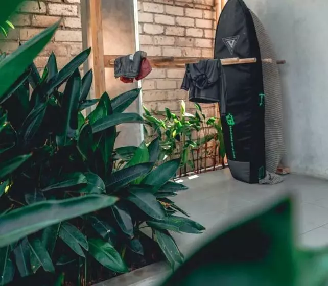 ユースホステル Lotide Surf Camps Lombok