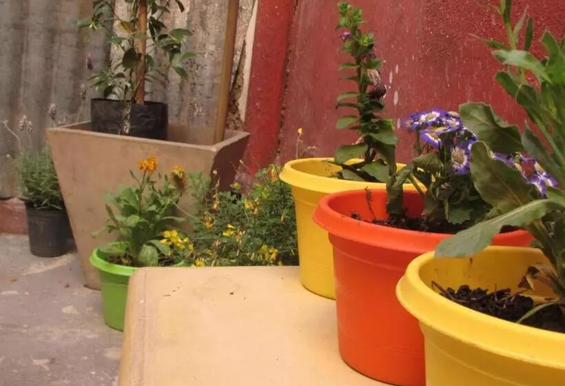 پانسیون Casa Artigas Hostel