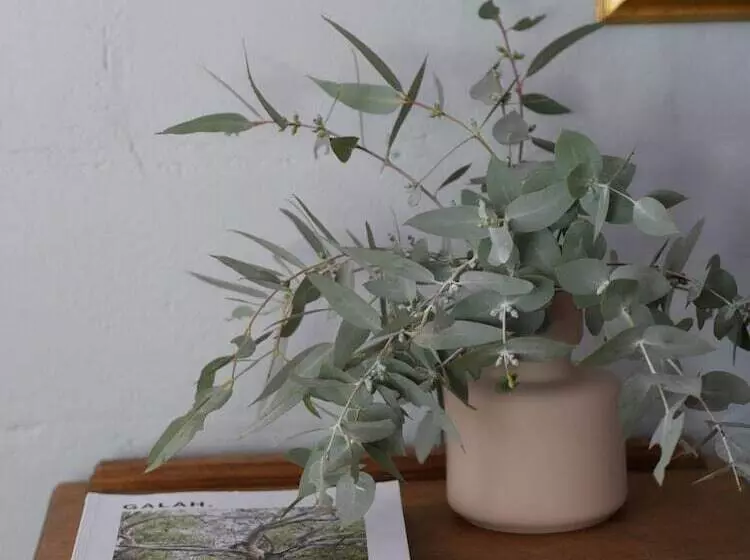 Hotelli Harvest Home Avenel