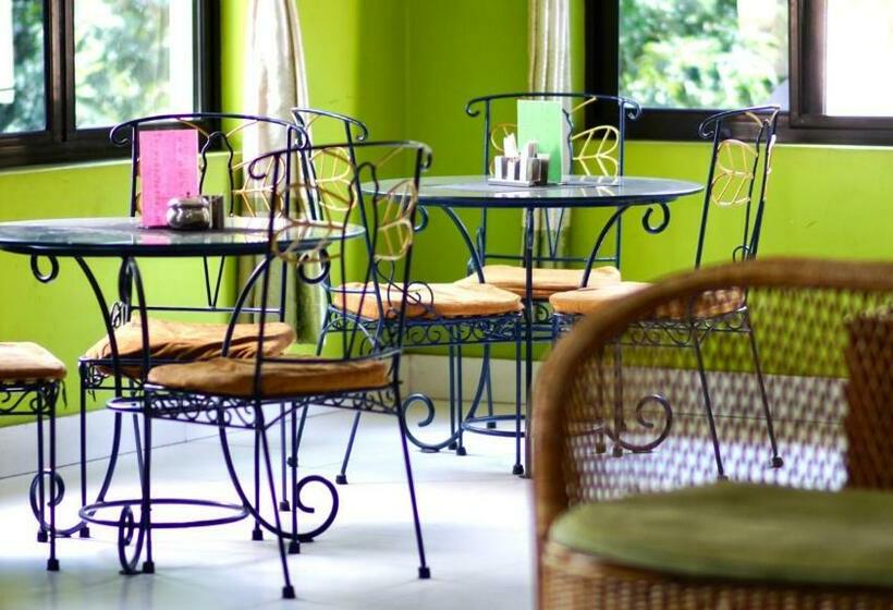 Monkey Bunky 3monkeys Backpacker S Hostel