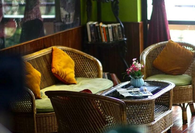 Monkey Bunky 3monkeys Backpacker S Hostel