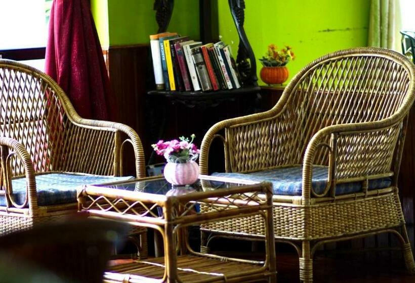 Monkey Bunky 3monkeys Backpacker S Hostel