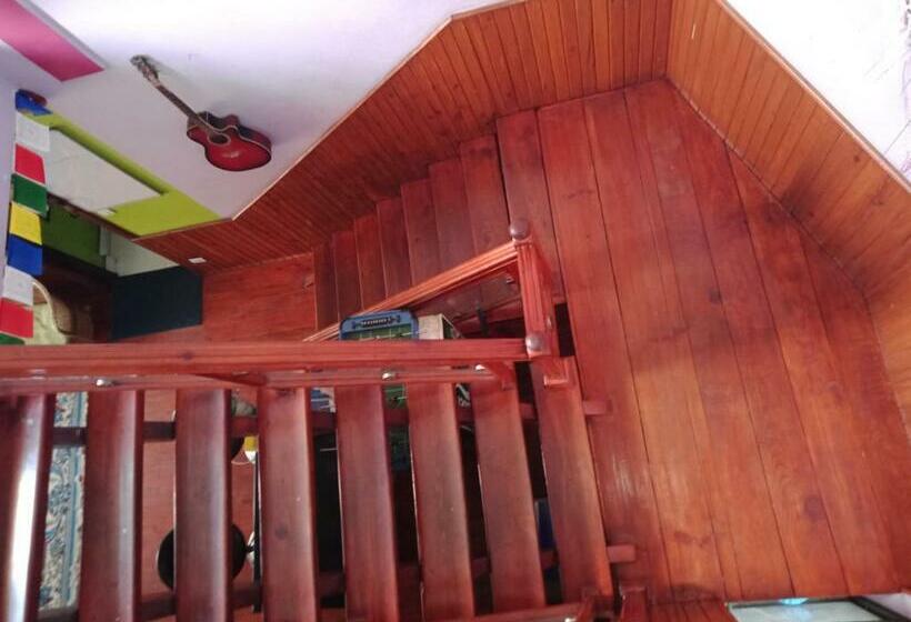 Monkey Bunky 3monkeys Backpacker S Hostel