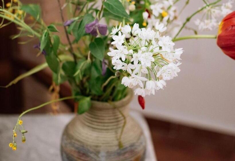 Отель Agriturismo Il Sentiero Degli Ulivi Irpinia