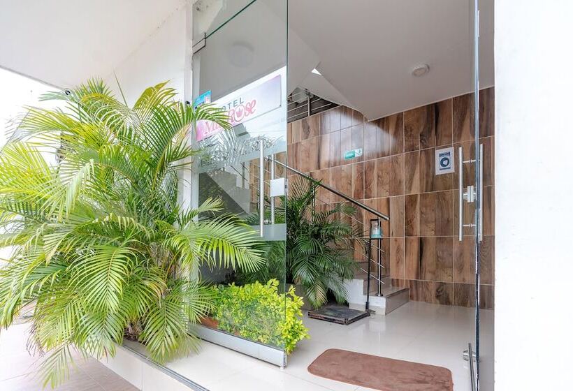 Отель Millrose Valledupar