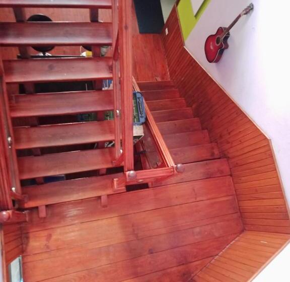 Monkey Bunky 3monkeys Backpacker S Hostel