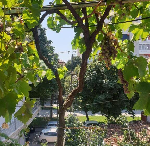 پانسیون Jordhani S House