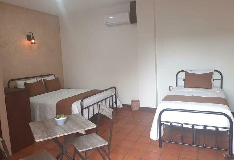 Casa De Las Flores Hotel Boutique