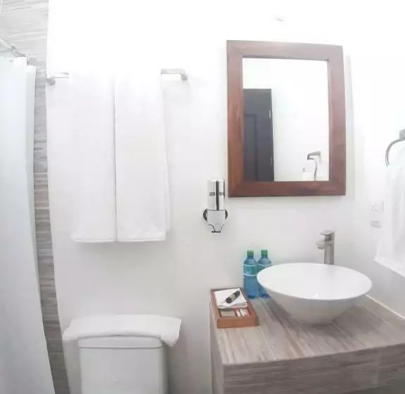 Casa De Las Flores Hotel Boutique