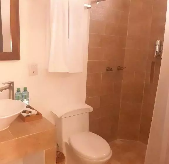 Casa De Las Flores Hotel Boutique